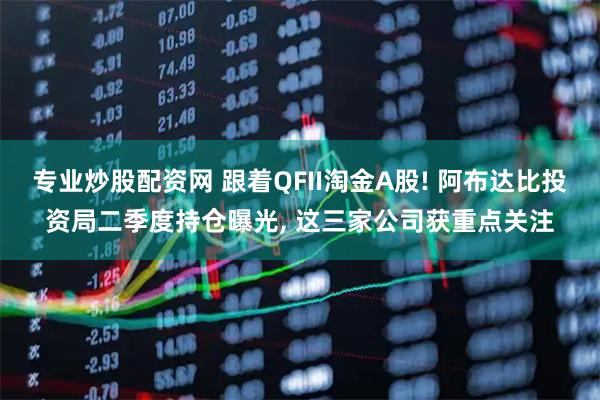 专业炒股配资网 跟着QFII淘金A股! 阿布达比投资局二季度持仓曝光, 这三家公司获重点关注