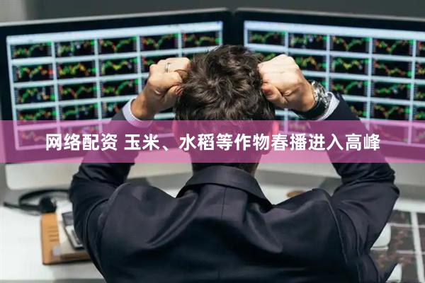 网络配资 玉米、水稻等作物春播进入高峰