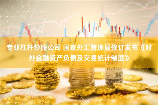 专业杠杆炒股公司 国家外汇管理局修订发布《对外金融资产负债及交易统计制度》