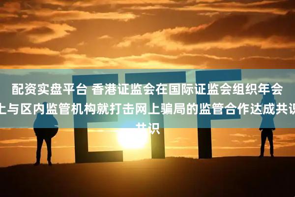 配资实盘平台 香港证监会在国际证监会组织年会上与区内监管机构就打击网上骗局的监管合作达成共识