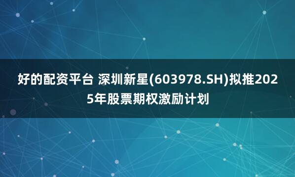 好的配资平台 深圳新星(603978.SH)拟推2025年股票期权激励计划