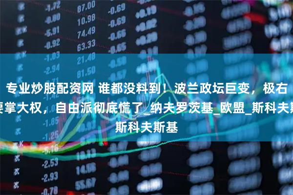 专业炒股配资网 谁都没料到！波兰政坛巨变，极右翼要掌大权，自由派彻底慌了_纳夫罗茨基_欧盟_斯科夫斯基