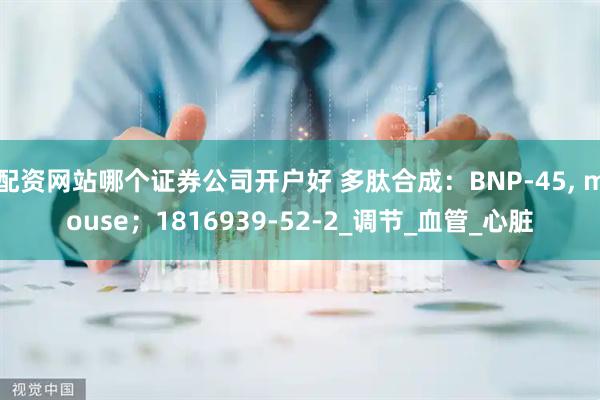 配资网站哪个证券公司开户好 多肽合成：BNP-45, mouse；1816939-52-2_调节_血管_心脏