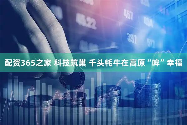 配资365之家 科技筑巢 千头牦牛在高原“哞”幸福