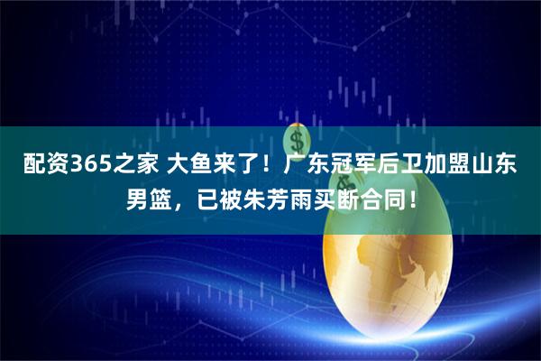 配资365之家 大鱼来了！广东冠军后卫加盟山东男篮，已被朱芳雨买断合同！