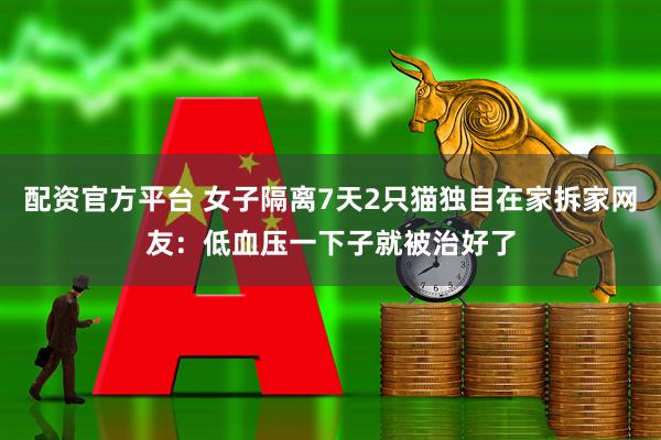 配资官方平台 女子隔离7天2只猫独自在家拆家网友：低血压一下子就被治好了