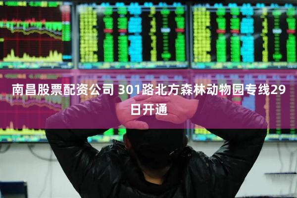 南昌股票配资公司 301路北方森林动物园专线29日开通