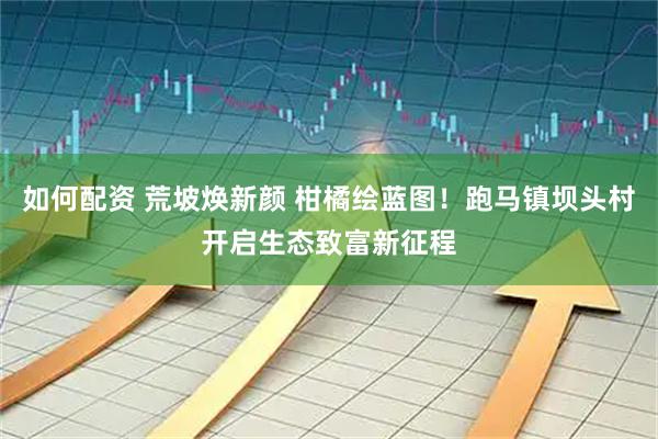 如何配资 荒坡焕新颜 柑橘绘蓝图！跑马镇坝头村开启生态致富新征程