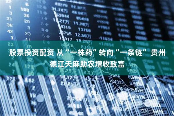 股票投资配资 从“一株药”转向“一条链” 贵州德江天麻助农增收致富