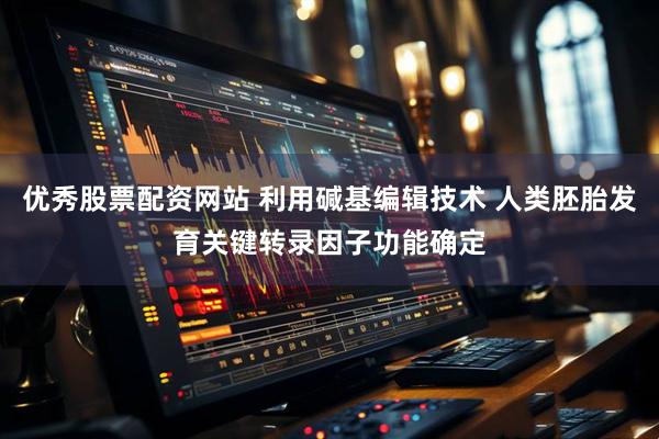 优秀股票配资网站 利用碱基编辑技术 人类胚胎发育关键转录因子功能确定