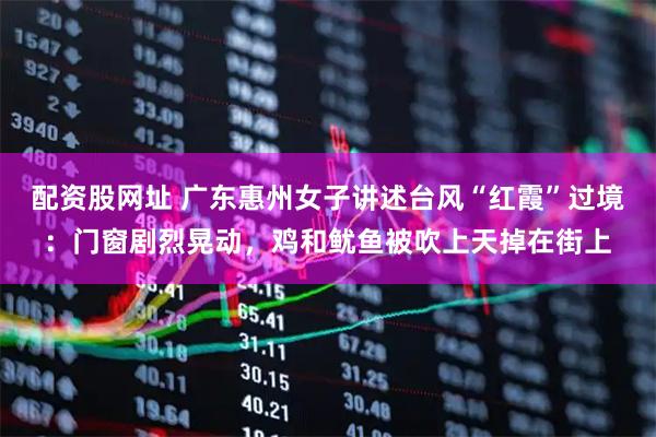 配资股网址 广东惠州女子讲述台风“红霞”过境：门窗剧烈晃动，鸡和鱿鱼被吹上天掉在街上