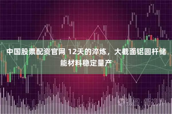 中国股票配资官网 12天的淬炼，大截面铝圆杆储能材料稳定量产